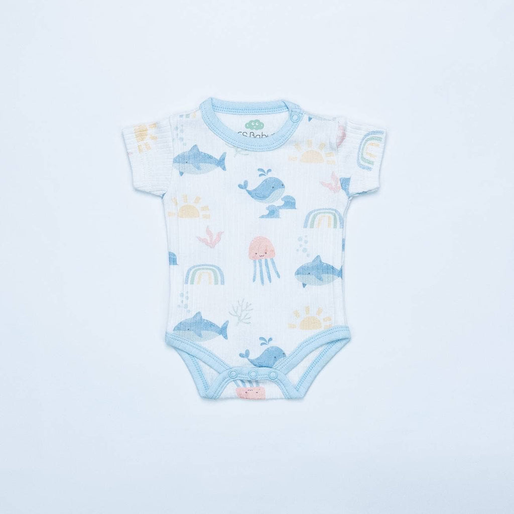 16783 - Lot de 2 bodies - SS 26