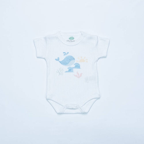 16783 - Lot de 2 bodies - SS 26