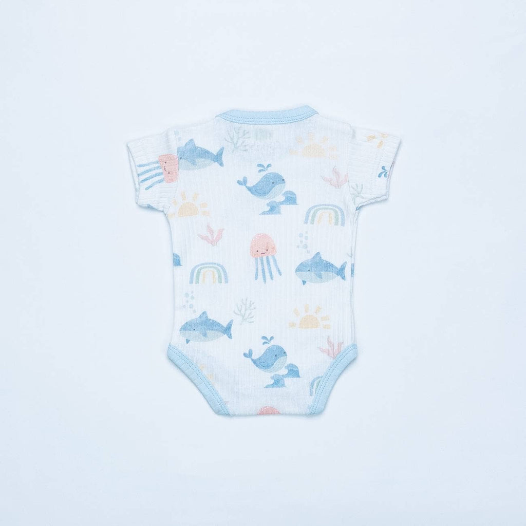 16783 - Lot de 2 bodies - SS 26